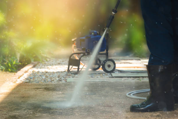 Best Driveway Pressure Washing  in Homer Glen, IL